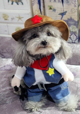 Cowboy Halloween Pet Costume – Loopo Shop